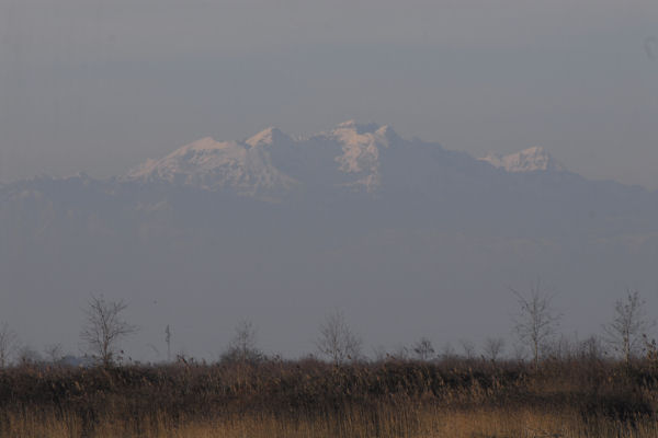 oasi naturalistica Valle Vecchia di VenetoAgricoltura a Caorle