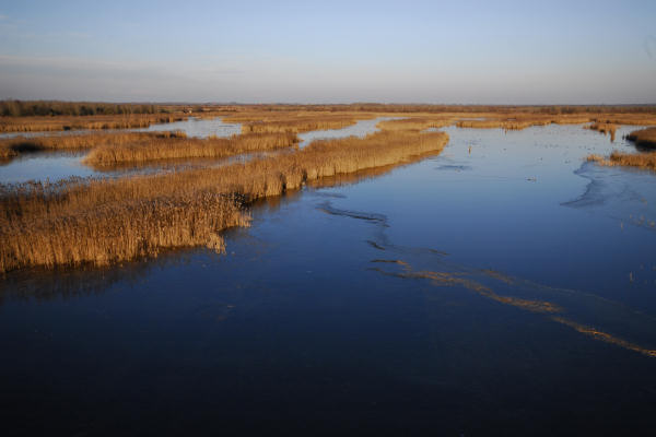 oasi naturalistica Valle Vecchia di VenetoAgricoltura a Caorle