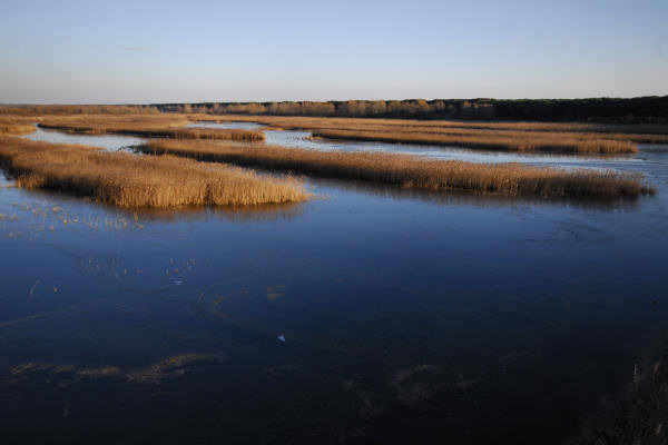 oasi naturalistica Valle Vecchia di VenetoAgricoltura a Caorle
