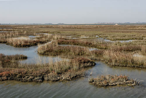 Treporti, Lio Piccolo - laguna nord di Venezia