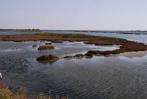 Treporti, Lio Piccolo - laguna nord di Venezia