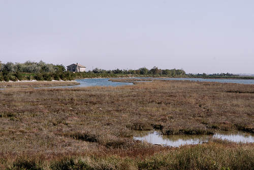 Treporti, Lio Piccolo - laguna nord di Venezia