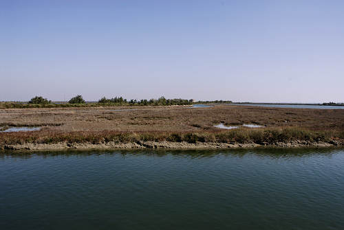 Treporti, Lio Piccolo - laguna nord di Venezia