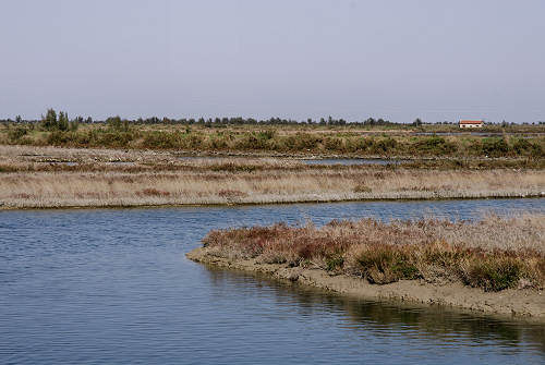 Treporti, Lio Piccolo - laguna nord di Venezia