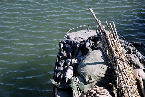 Treporti, Lio Piccolo - laguna nord di Venezia