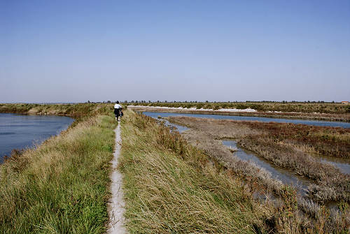 Treporti, Lio Piccolo - laguna nord di Venezia
