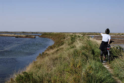 Treporti, Lio Piccolo - laguna nord di Venezia