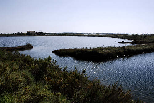 Treporti, Lio Piccolo - laguna nord di Venezia