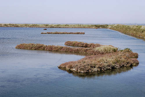 Treporti, Lio Piccolo - laguna nord di Venezia