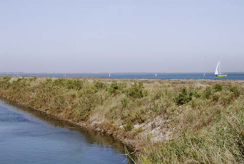 Treporti, Lio Piccolo - laguna nord di Venezia