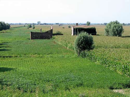 la campagna polesana e il fiume argine a Cavarzere