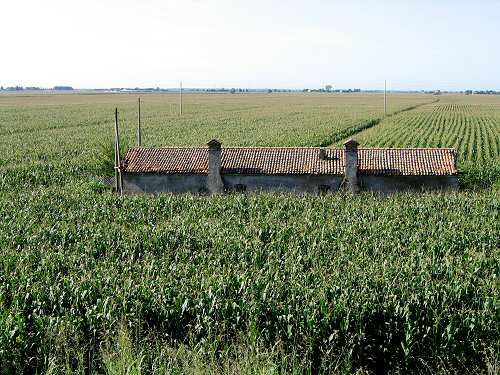 la campagna polesana e il fiume argine a Cavarzere