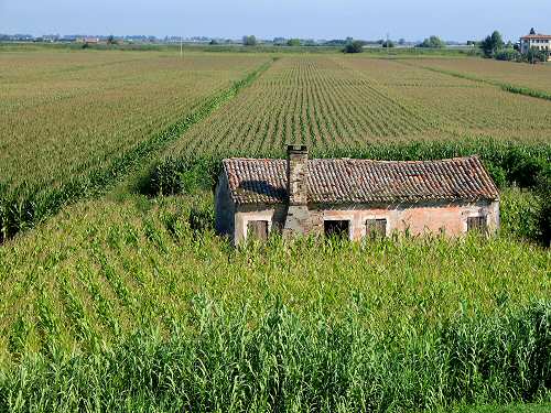 la campagna polesana e il fiume argine a Cavarzere