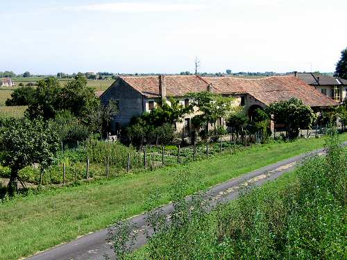 la campagna polesana e il fiume argine a Cavarzere