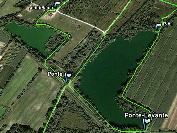 Parco Laghetti di Martellago, Maerne, Olmo