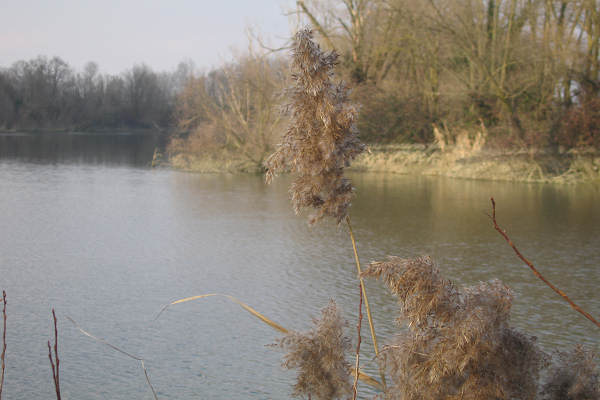 Martellago Maerne Olmo, parco laghetti ex cave