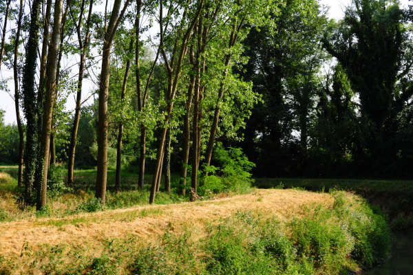 Oasi Wwf delle Cave di Noale