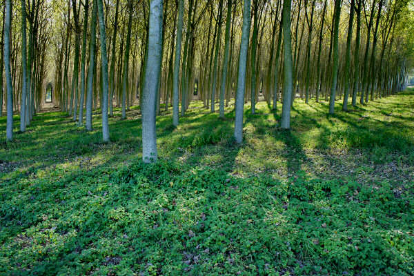 Portogruaro e il Veneto Orientale, giro cicloturistico Lemene Reghena