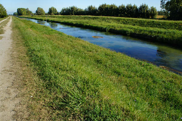 Portogruaro e il Veneto Orientale, giro cicloturistico Lemene Reghena