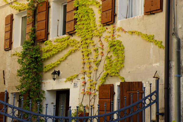 Portogruaro e il Veneto Orientale, giro cicloturistico Lemene Reghena