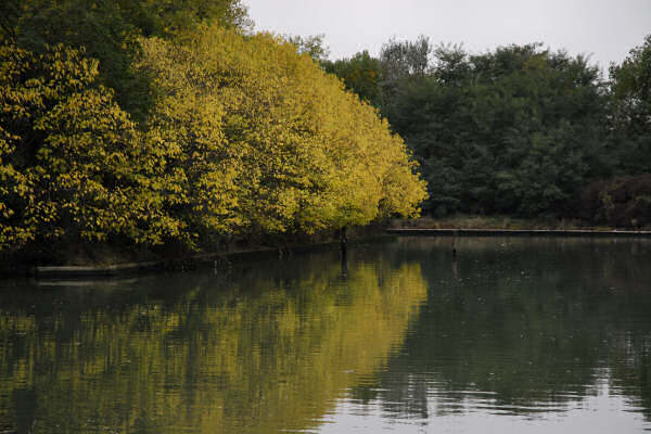 Forte Marghera a Mestre-Venezia