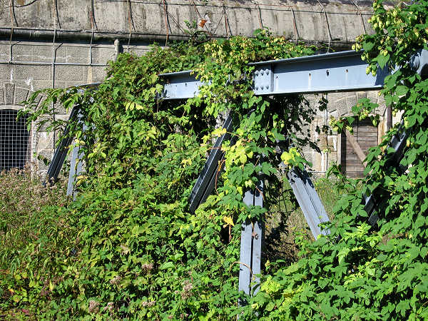 Forte Poerio a Oriago di Mira