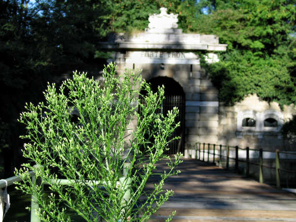 Forte Tron a Venezia-Marghera