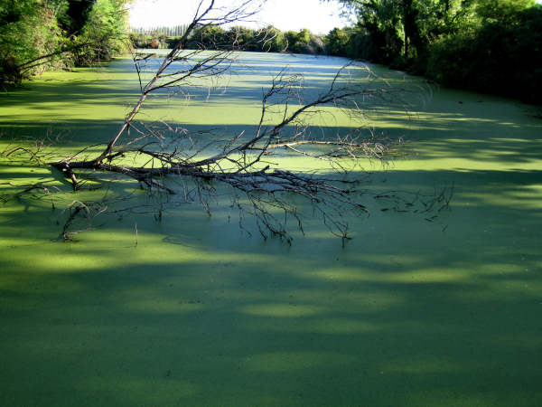 Forte Tron a Venezia-Marghera