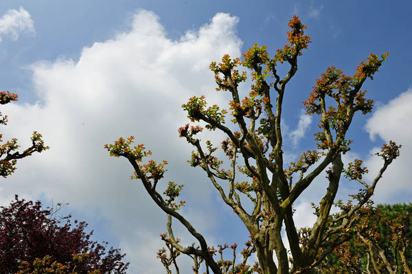 Parco Giardino Sigurtà a Valeggio sul Mincio