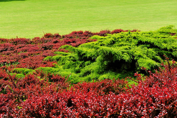 Parco Giardino Sigurtà a Valeggio sul Mincio