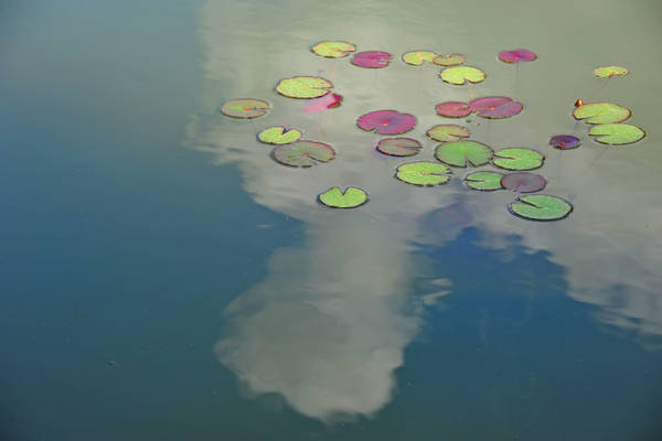 Parco Giardino Sigurtà a Valeggio sul Mincio
