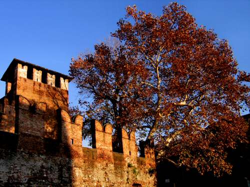 Castelvecchio - Verona