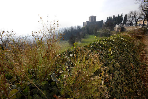 Castello di Arzignano