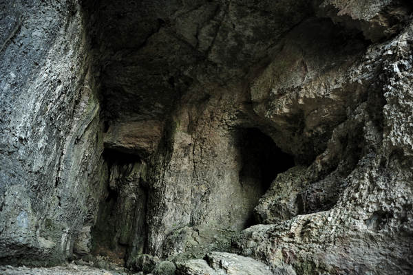 Buso della Rana a Priabona di Monte di Malo