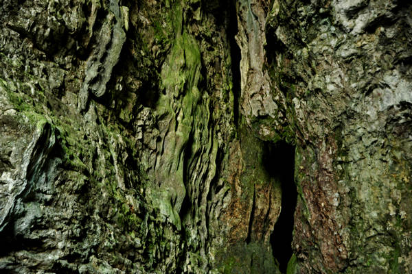 Buso della Rana a Priabona di Monte di Malo