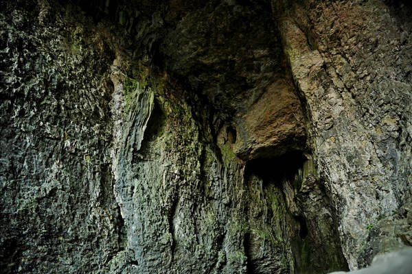 Buso della Rana a Priabona di Monte di Malo