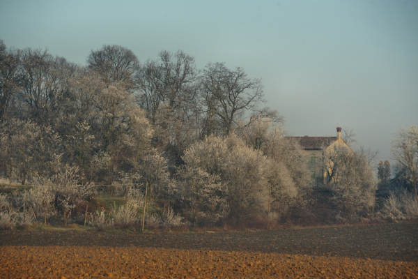 Montegalda Castello Grimani