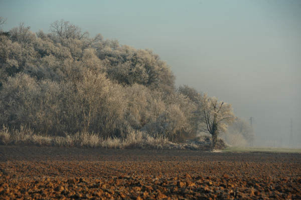 Montegalda Castello Grimani
