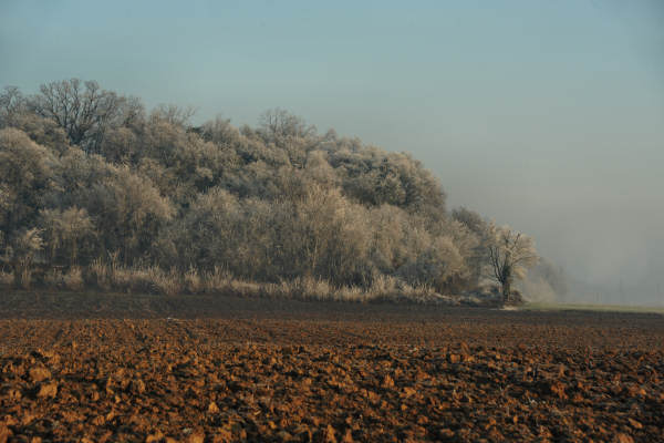 Montegalda Castello Grimani