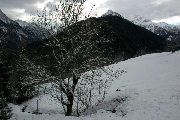 Falcade Caviola Fregona