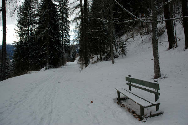 Falcade Caviola Fregona