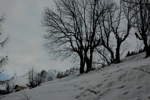 Falcade Caviola Fregona