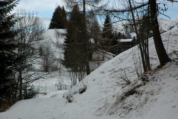 Falcade Caviola Fregona