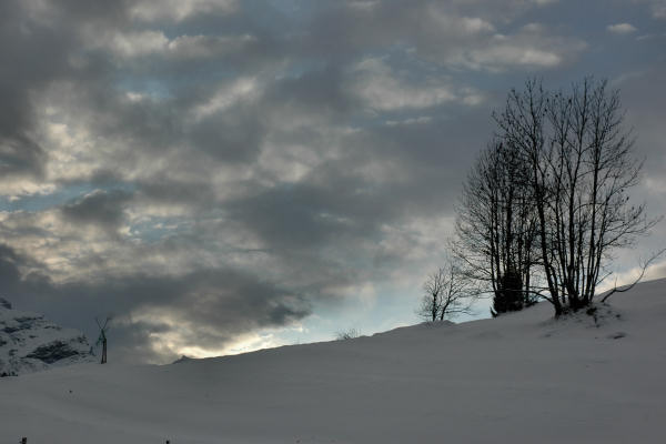 Falcade Caviola Fregona