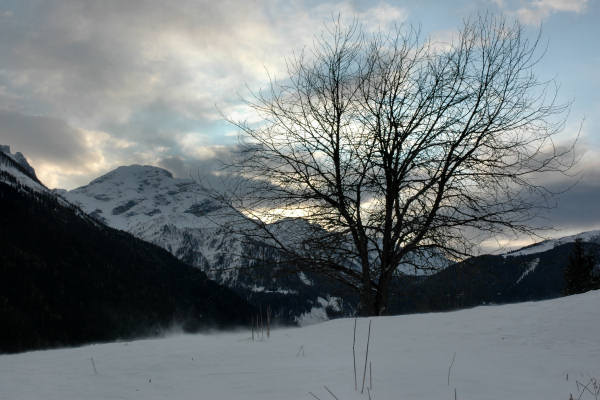 Falcade Caviola Fregona