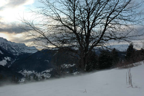 Falcade Caviola Fregona