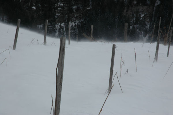 Falcade Caviola Fregona