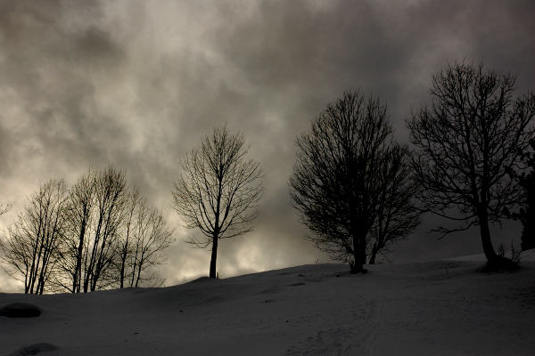 Falcade Caviola Fregona