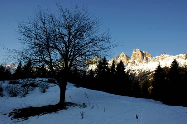 Falcade Caviola Fregona