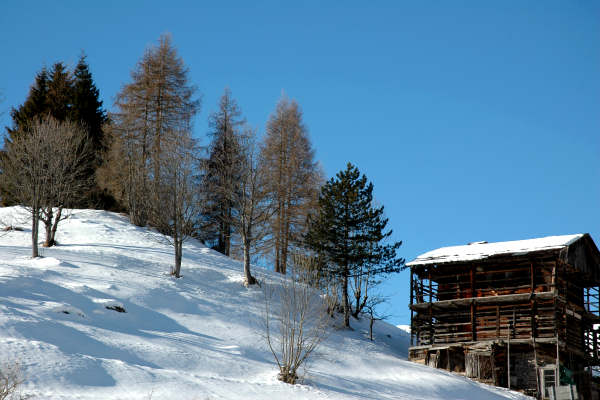 Falcade Caviola Fregona